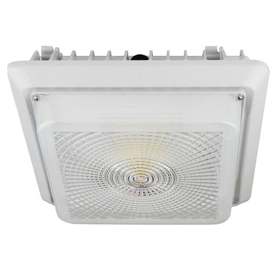 LED Garage/Canopy Lights - 55W - CGL